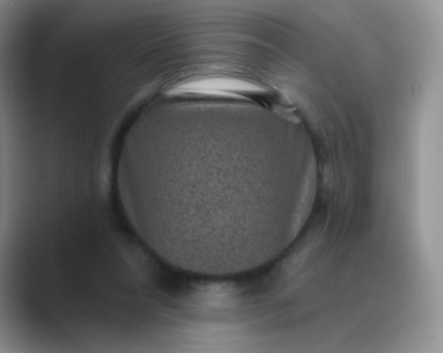 X0000089700304200707051648