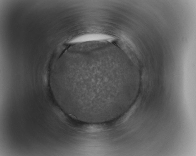 X0000089700305200707051648