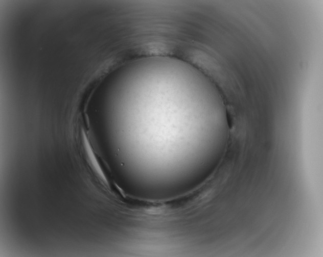 X0000089700306200707051648