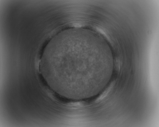 X0000089700307200707051648