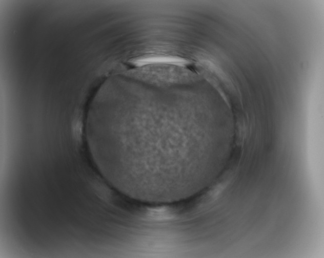 X0000089700309200707051648