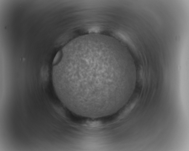 X0000089700311200707051648