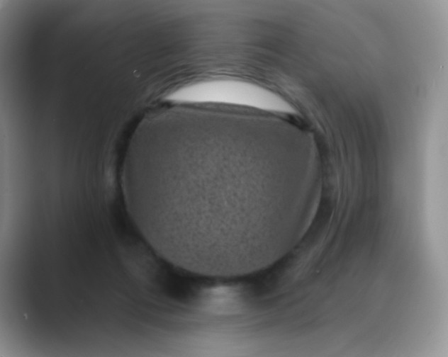 X0000089700312200707051648