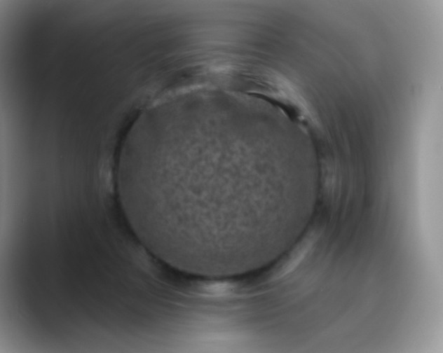 X0000089700313200707051648