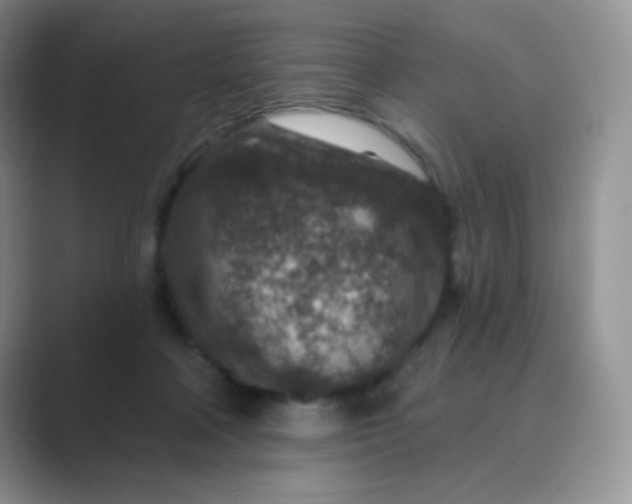 X0000089700314200707051648