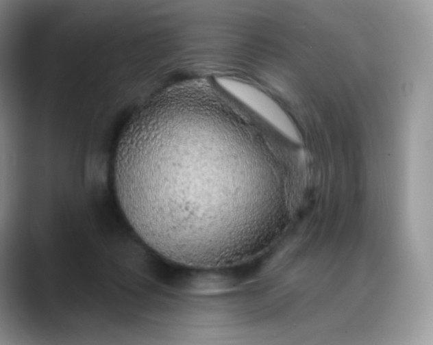 X0000089700315200707051648