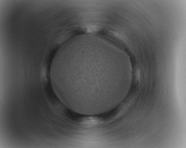 X0000089700316200707051648