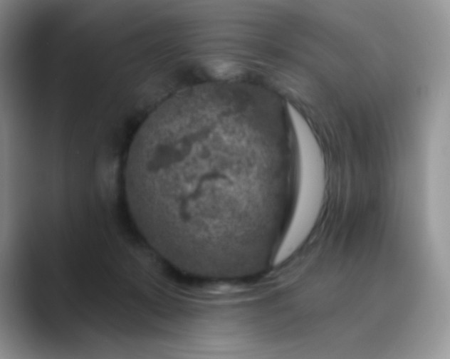 X0000089700319200707051648