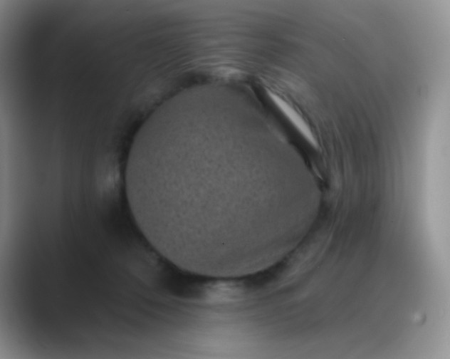 X0000089700320200707051648