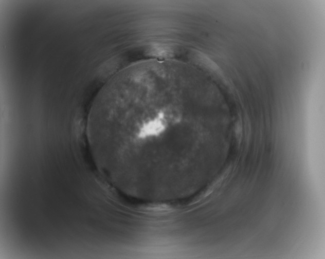 X0000089700322200707051648