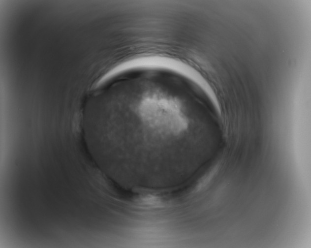 X0000089700325200707051648