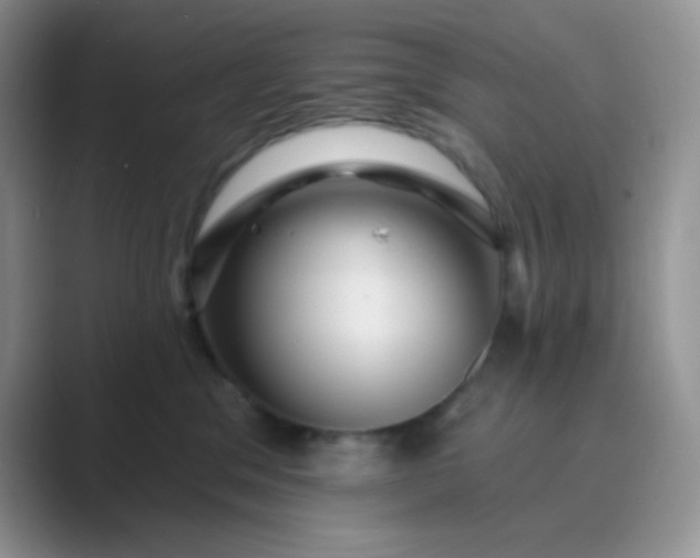 X0000089700329200707051648