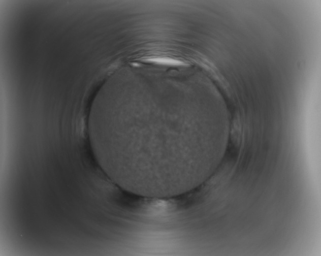 X0000089700330200707051648