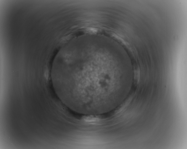 X0000089700331200707051648