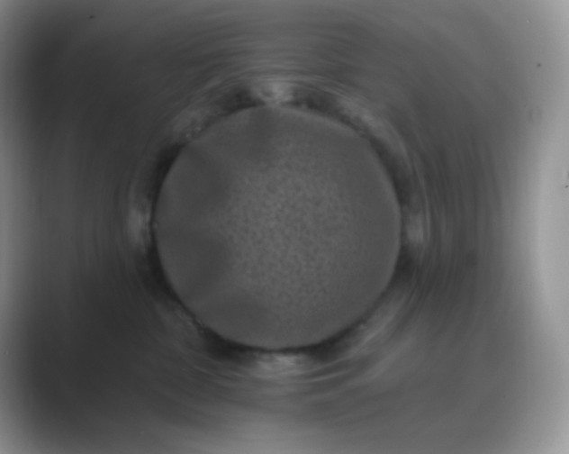 X0000089700332200707051648