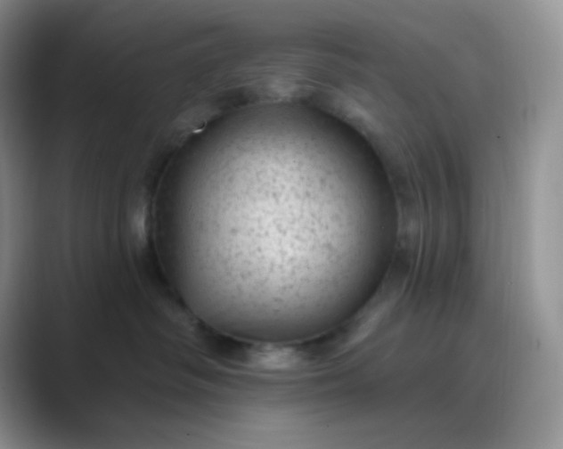 X0000089700334200707051648