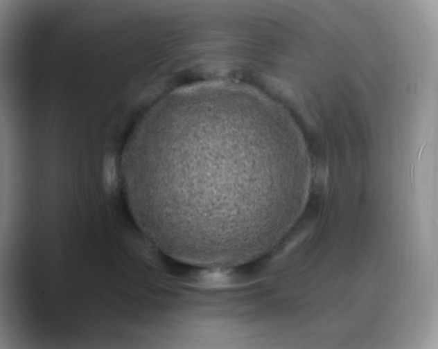 X0000089700335200707051648