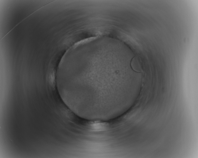 X0000089700336200707051648