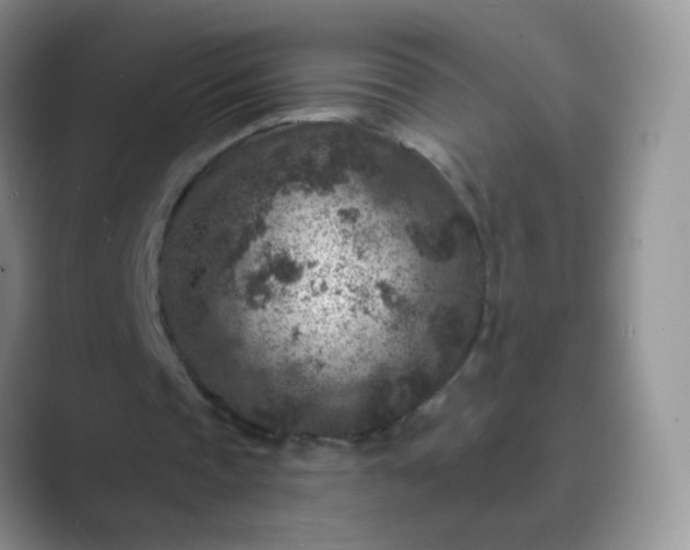 X0000089700337200707051647