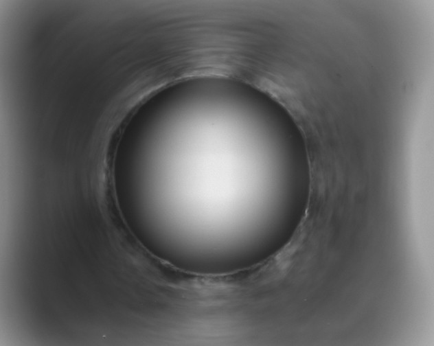 X0000089700338200707051647