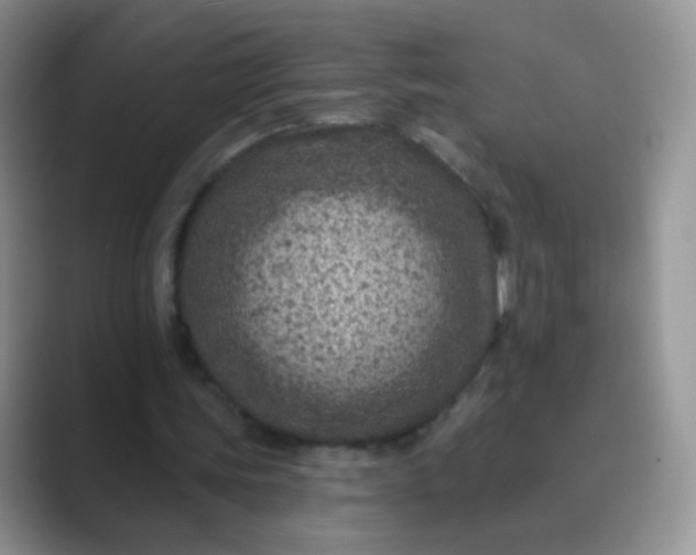 X0000089700339200707051647