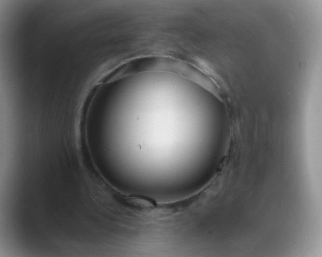 X0000089700340200707051647