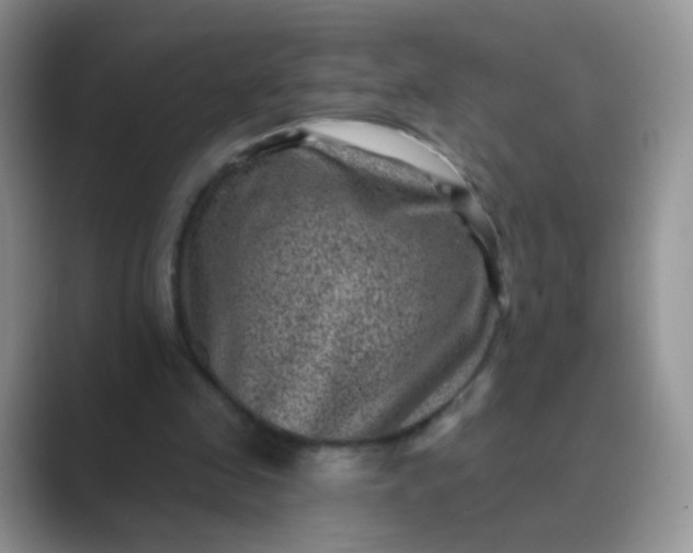 X0000089700341200707051647