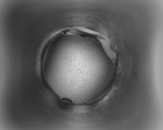 X0000089700342200707051647