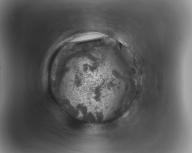 X0000089700343200707051647