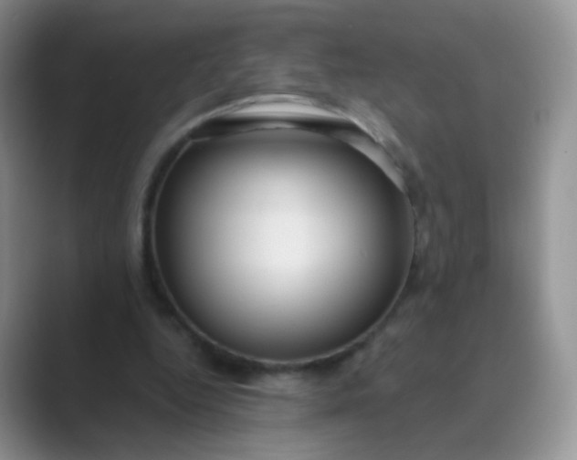 X0000089700344200707051647