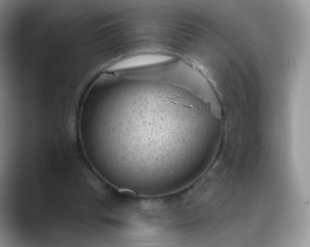 X0000089700345200707051647