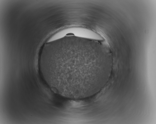 X0000089700346200707051647