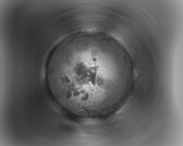 X0000089700347200707051647