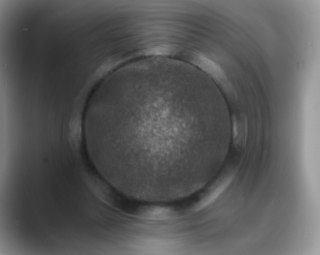 X0000089700348200707051647