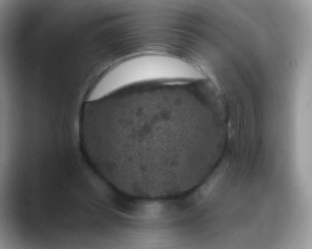 X0000089700349200707051647