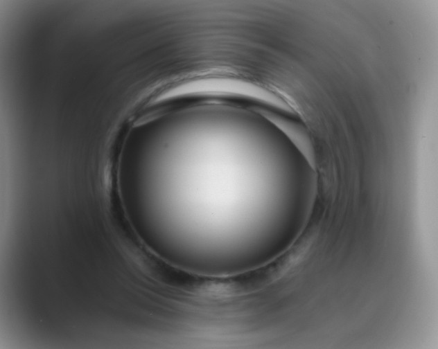 X0000089700350200707051647