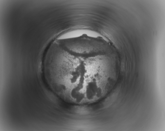 X0000089700351200707051647