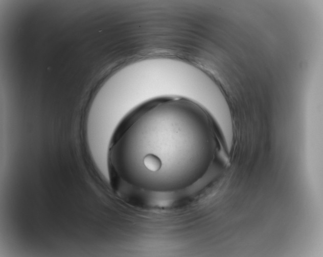 X0000089700352200707051647