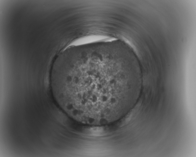 X0000089700353200707051647