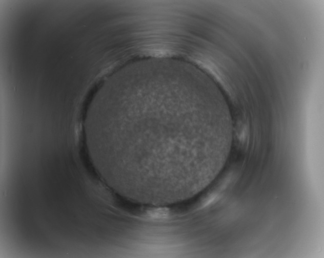 X0000089700355200707051647