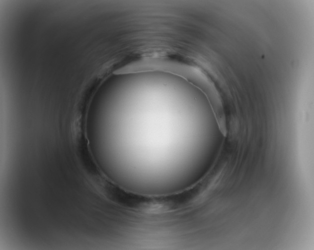 X0000089700356200707051647