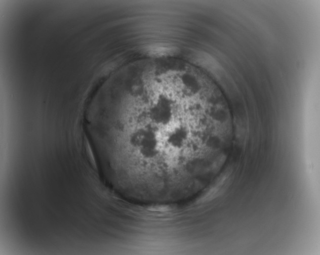 X0000089700357200707051647