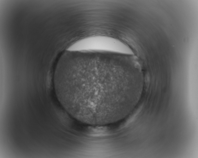 X0000089700359200707051648