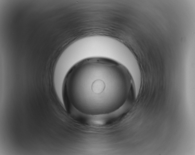 X0000089700360200707051648