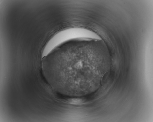 X0000089700361200707051648