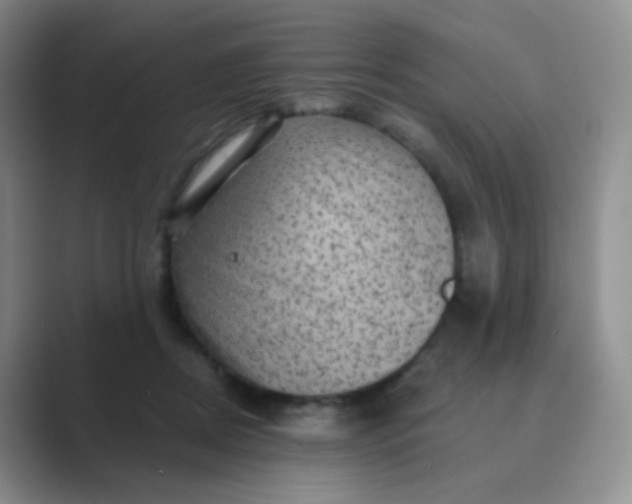 X0000089700362200707051648