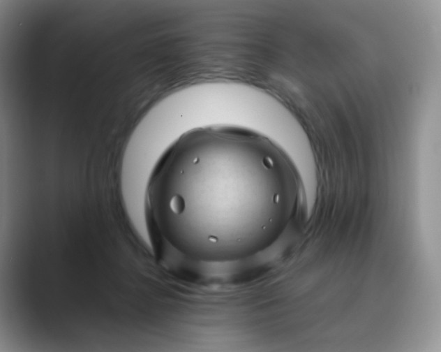 X0000089700364200707051648