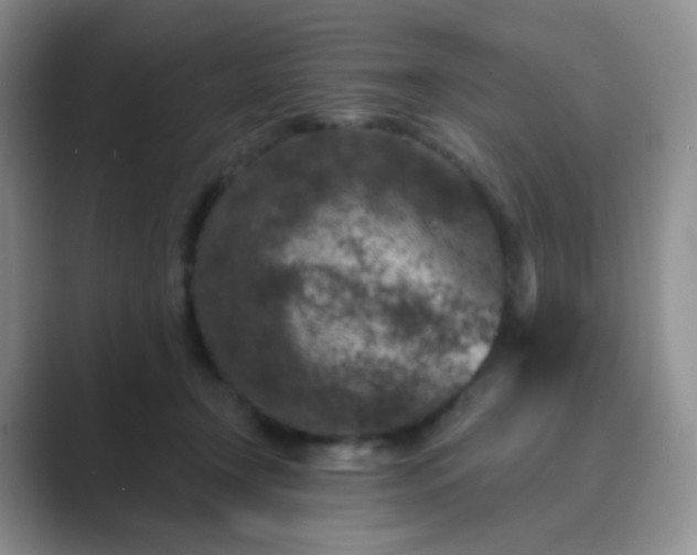 X0000089700366200707051648