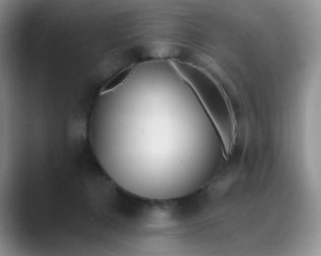 X0000089700368200707051648