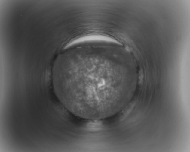 X0000089700369200707051648